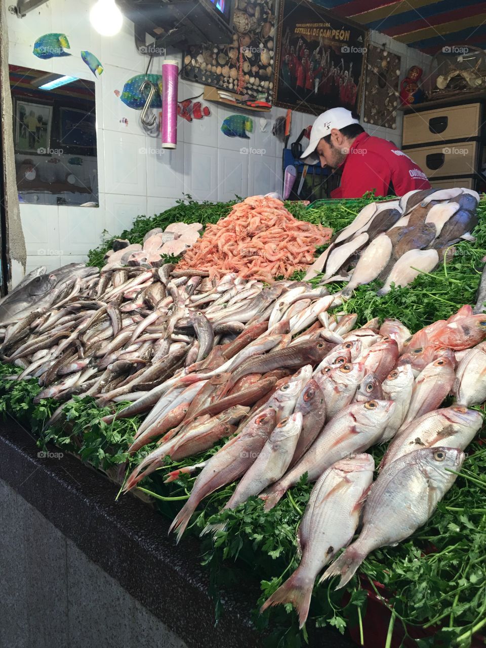 Morocco 🇲🇦 : Selling fish at the market