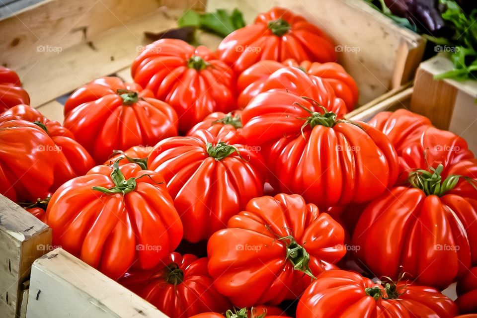 St tropez tomatoes