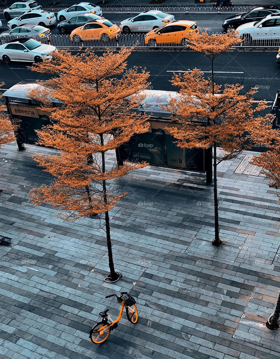 Road view of the city 