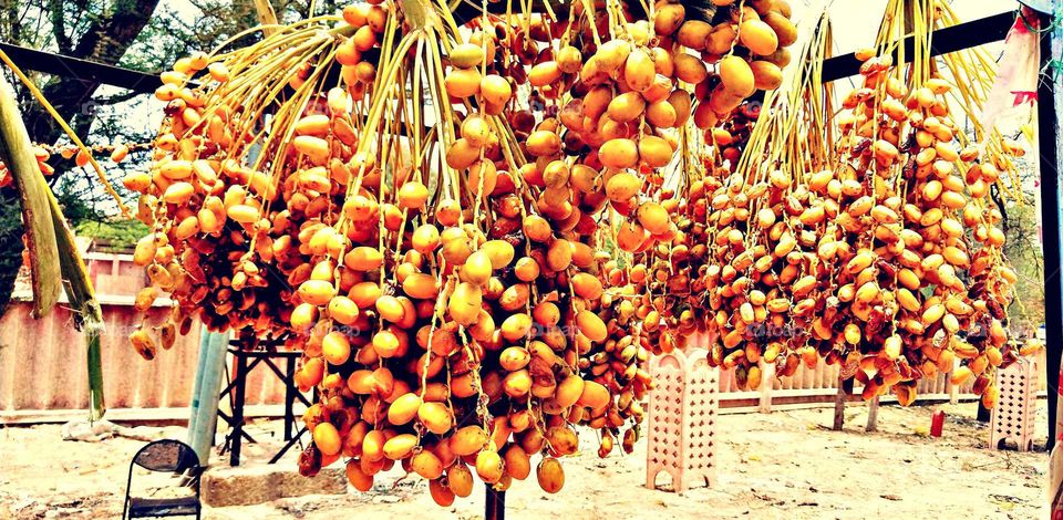Fruit, Market, Desktop, Bunch, Food