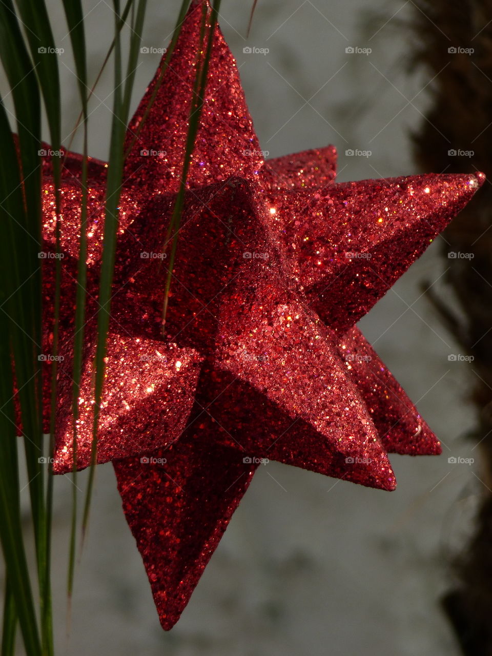 Close up red star decoration 