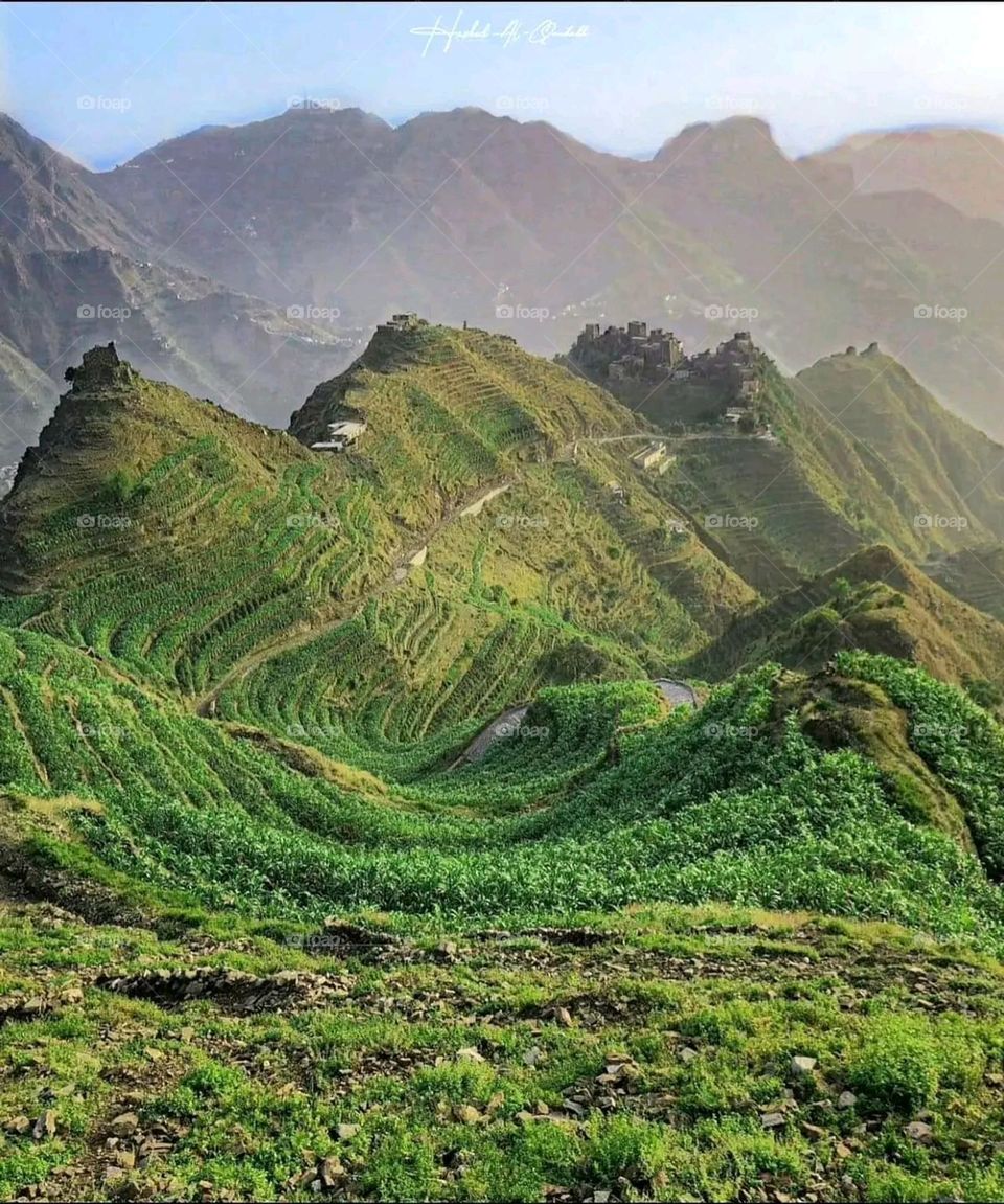 A very beautiful picture, and there is no better picture than it. There is no better picture of green herbs and colorful, red and white roses than it. Glory be to God, the natural and picturesque view, and there is no more