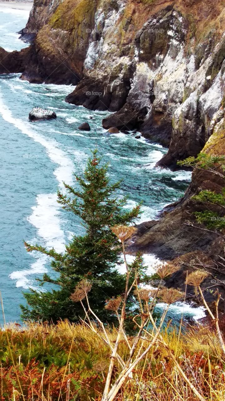 Cliff and Crashing waves at Cape Disappointment