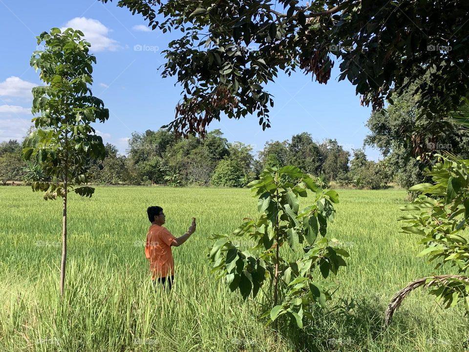 Life in motion, Owner garden (Countryside )