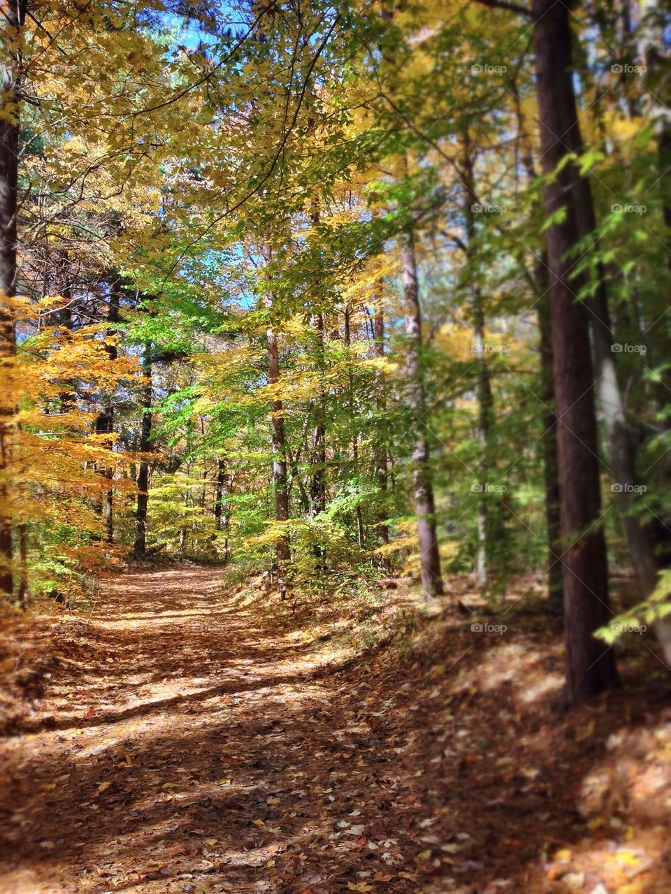 Out for a hike.