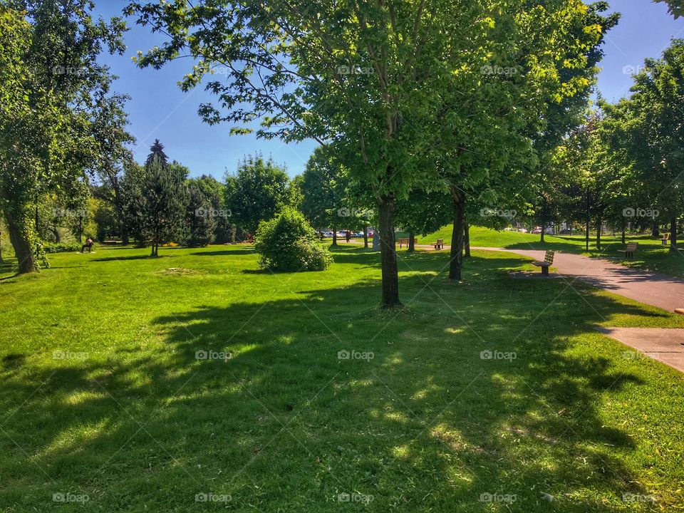 Sunny day at the park 