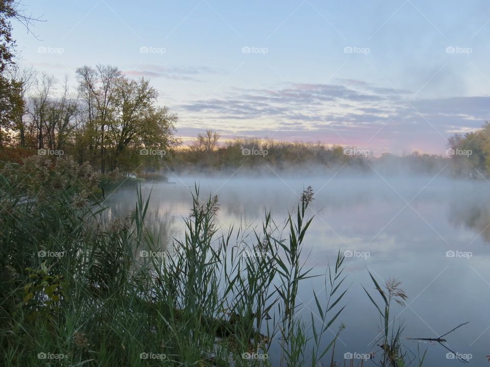 Early morning mist and fog lingering in the cool air. The sun just about to rise and eventually the fog and mist will dissipate and the river will slowly come alive with migrating birds.