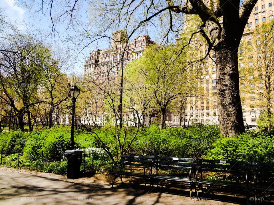 Central Park in spring