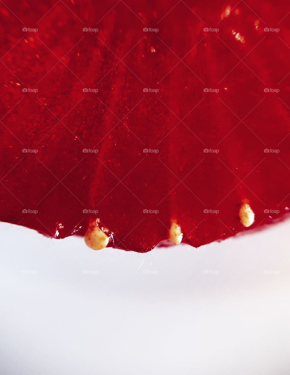 macrophoto of strawberry