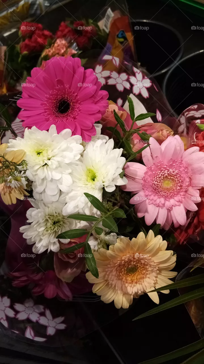 Blumen