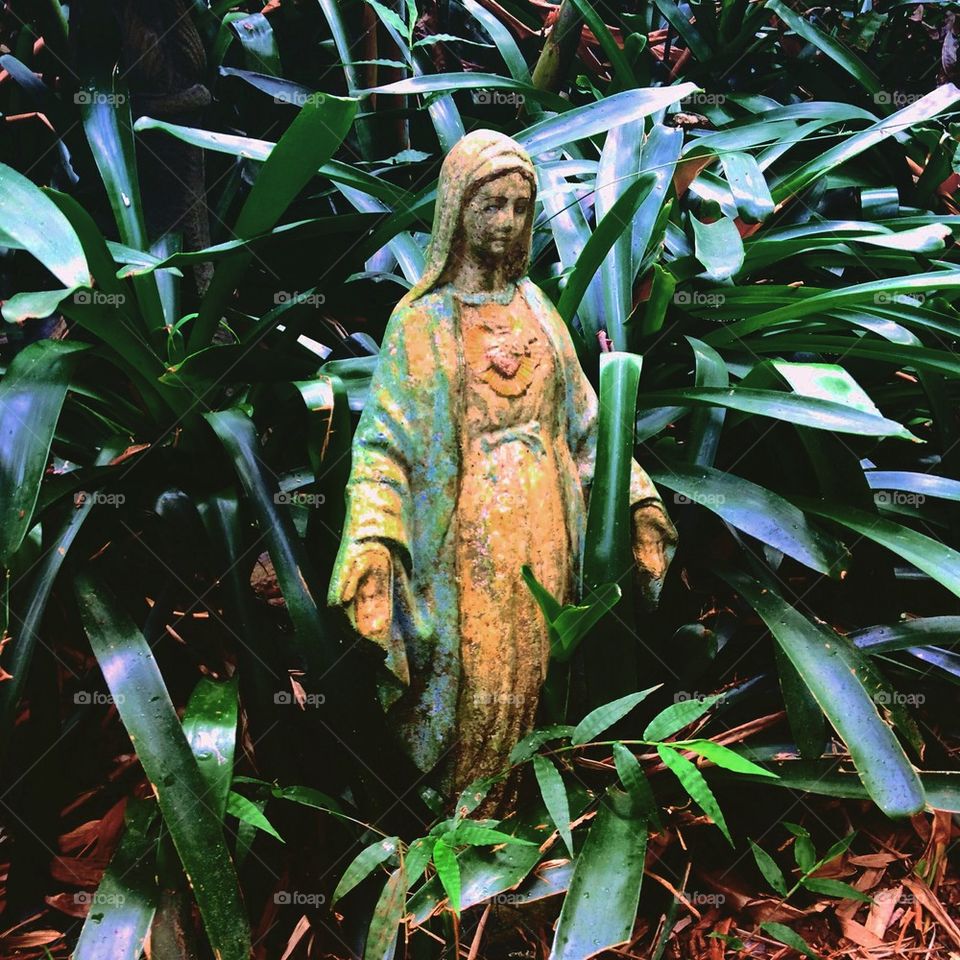 Garden Mary