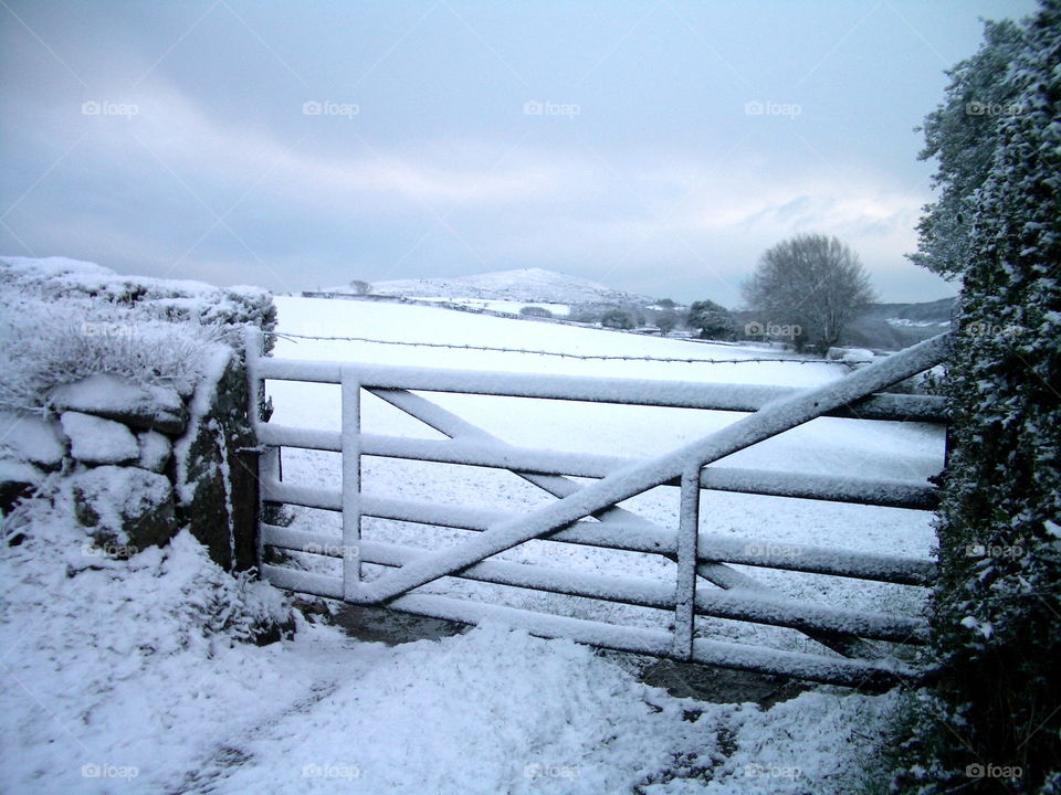 Gate covered in snow, Dartmoor, Devon, England