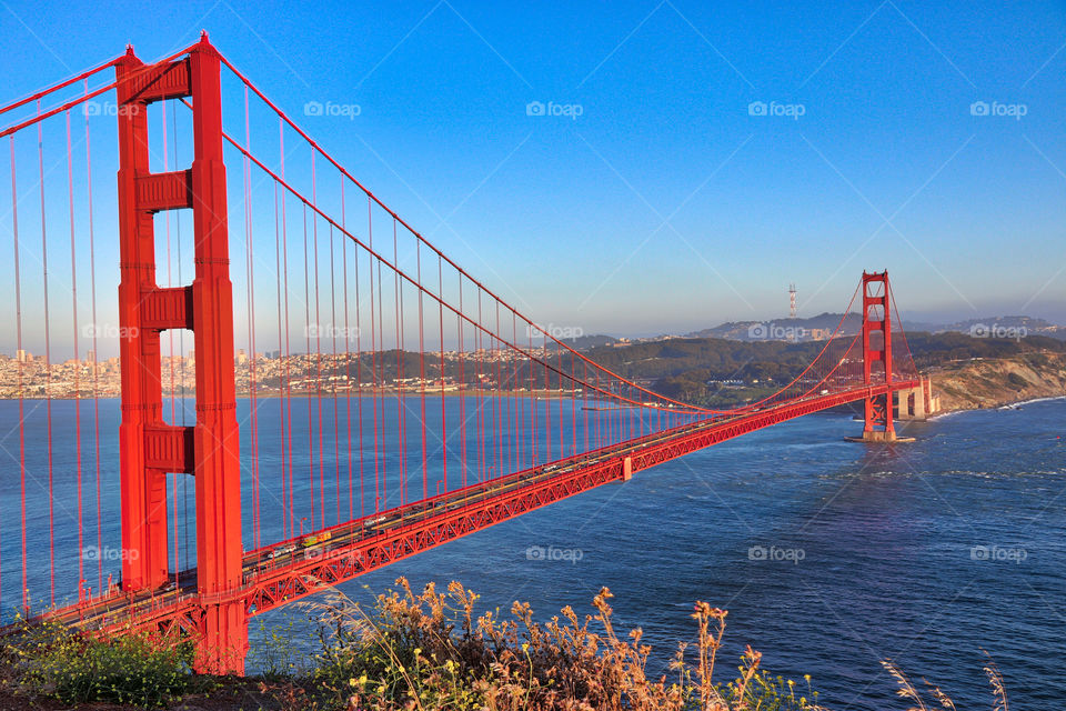 Golden Gate 