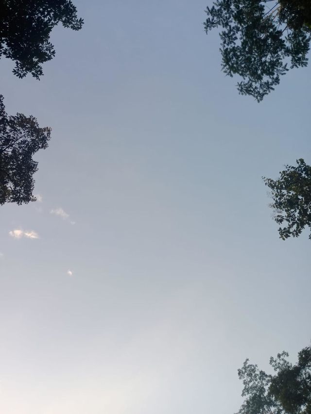 beautifull sky