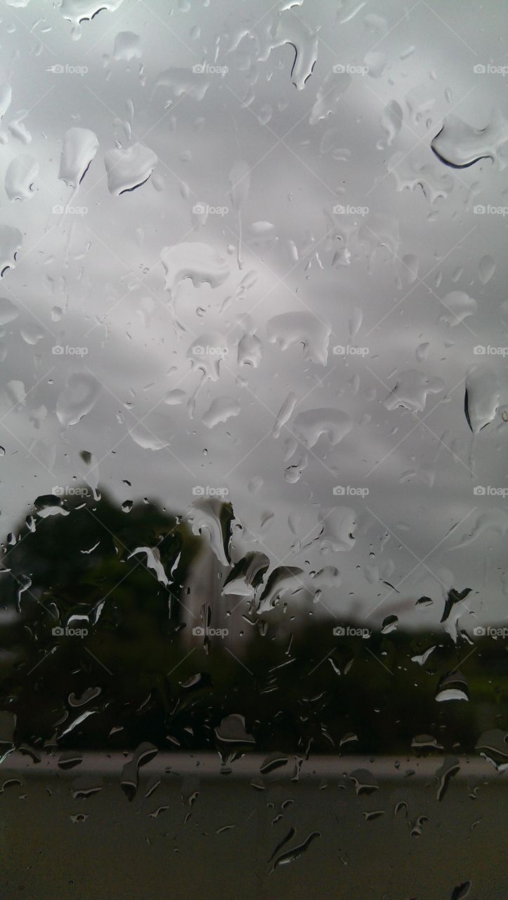 Drip Drop. Summer rains, you can never predict them...