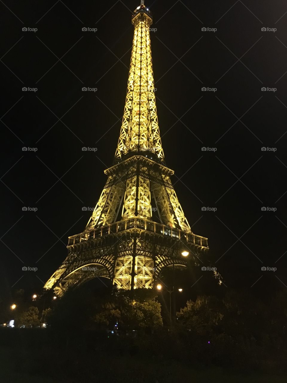 The Eiffel Tower at night