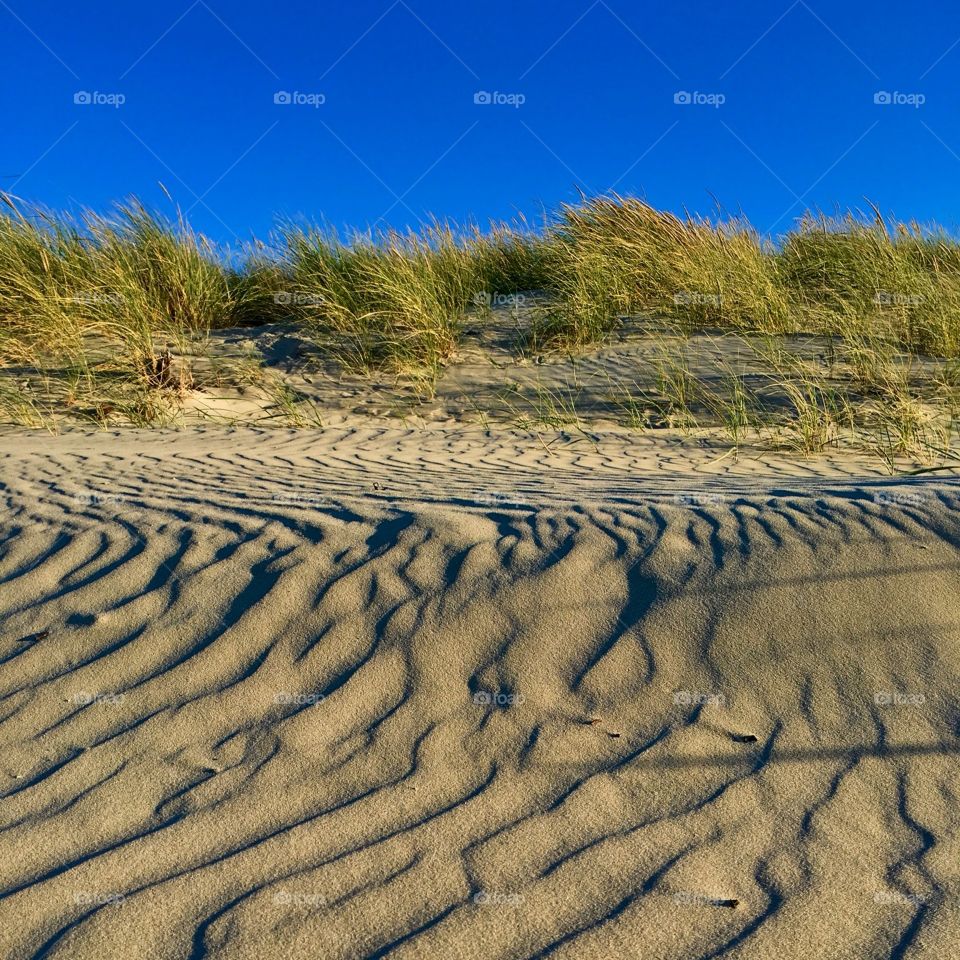 Happiness on the beach