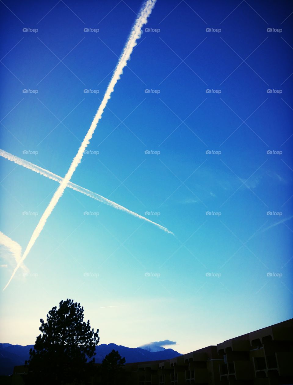 X marks the spot 
