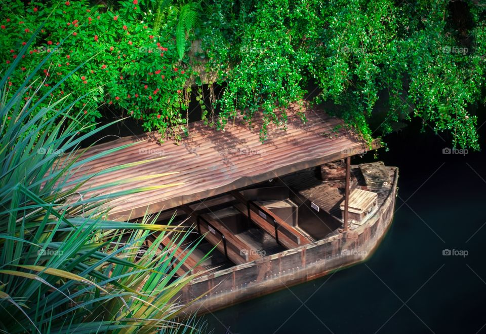 Water, No Person, Wood, Outdoors, Nature