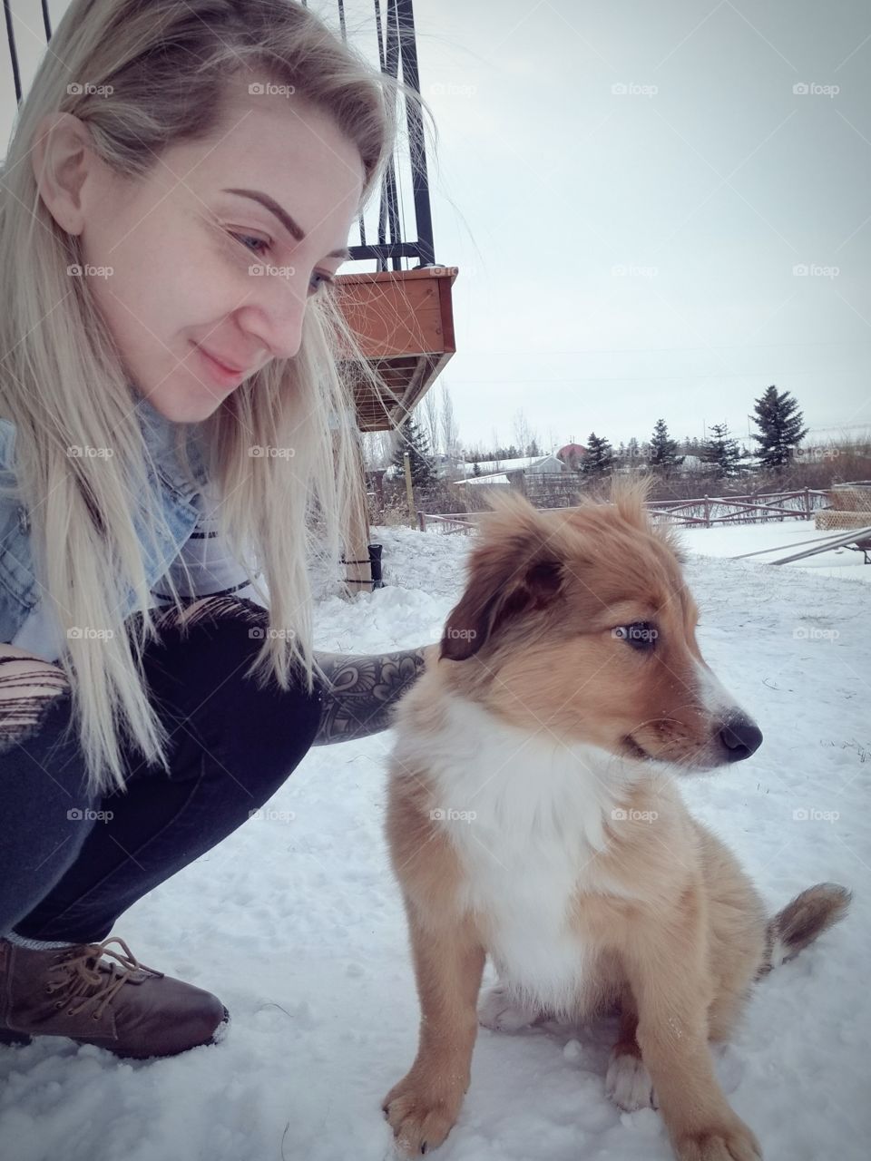puppy's first snowfall