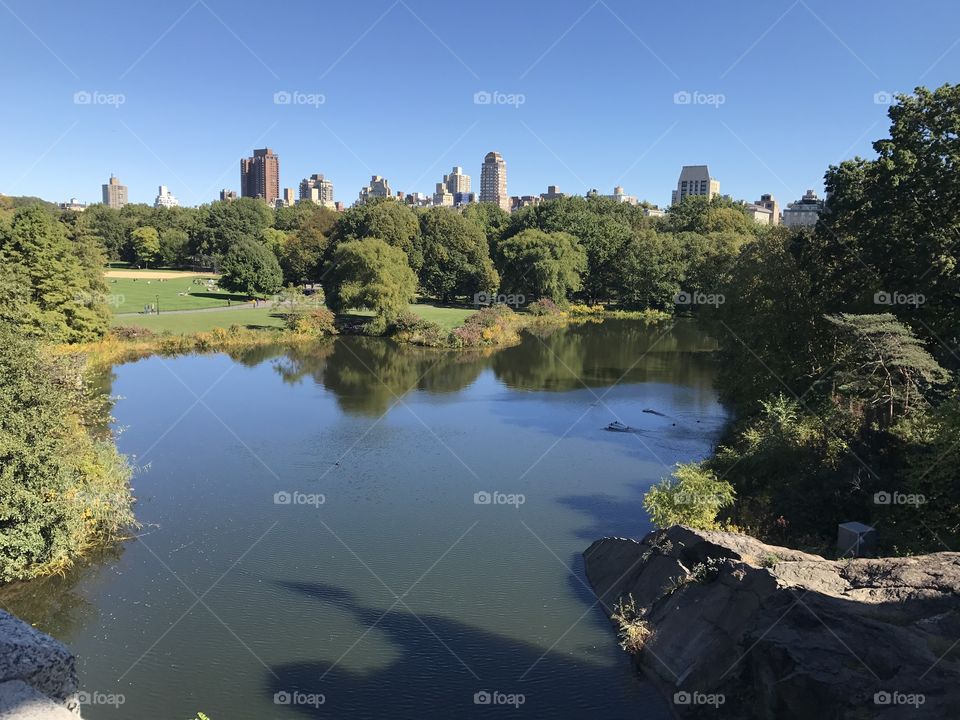 Central Park NYC 