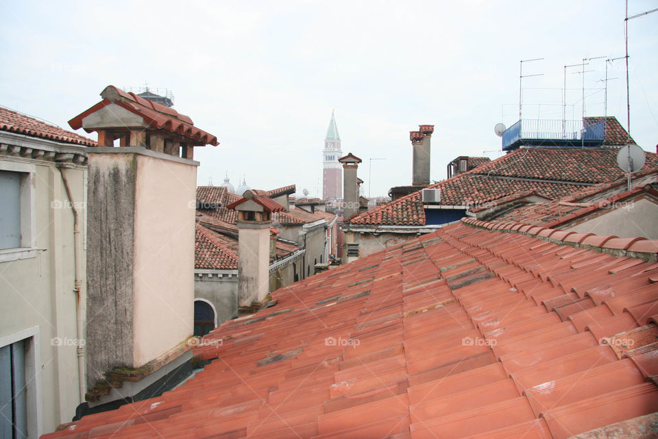 I am the bird on the roof. Unique rooftop view. 