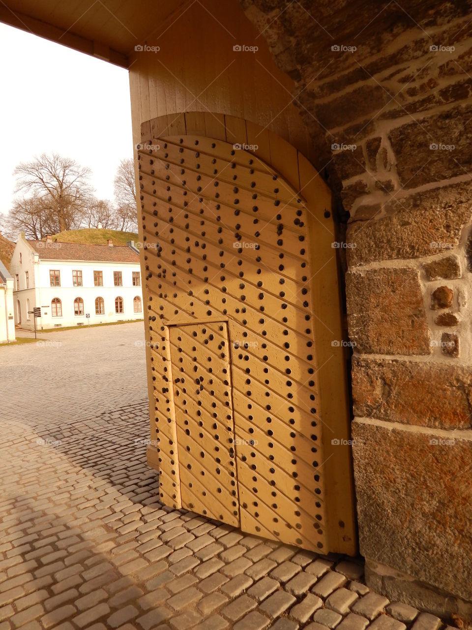 Fortress door