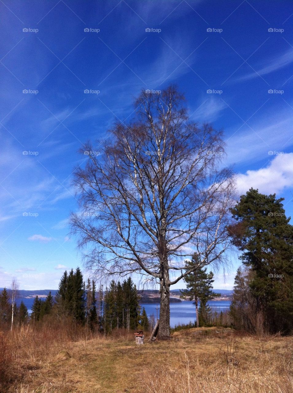 landscape norway sky spring by cassiel_a