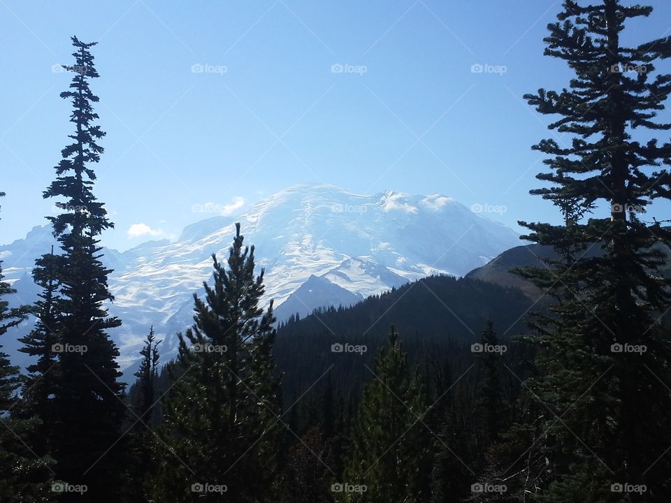 Mt Rainier