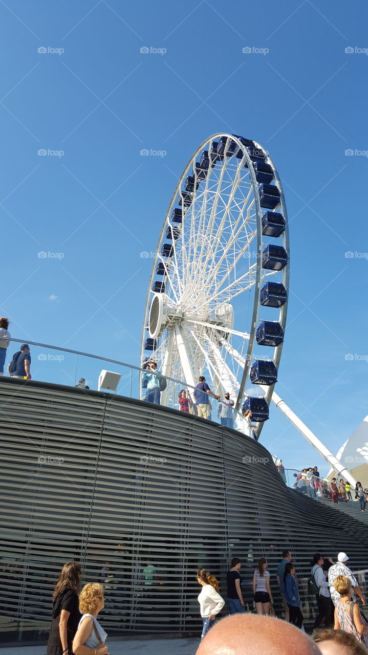 Navy Pier Farris Wheel