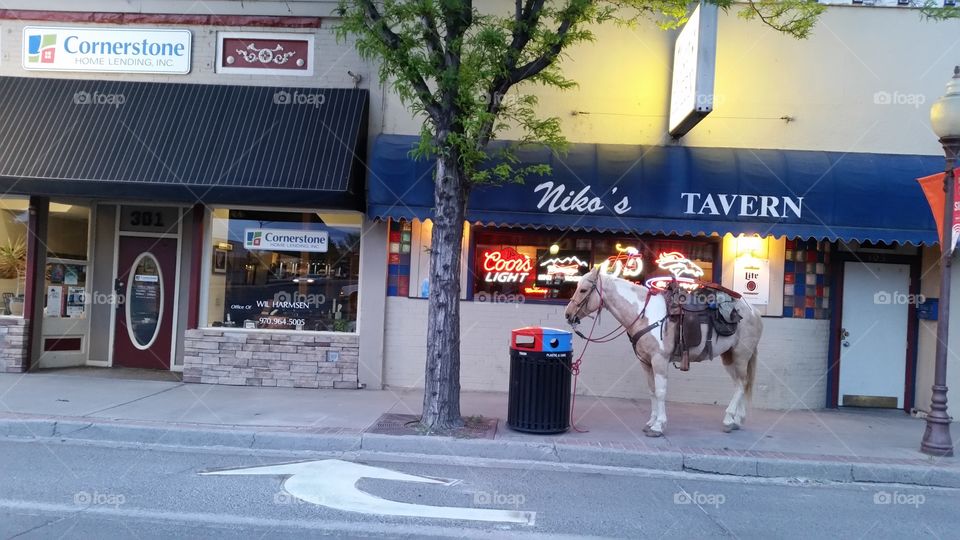 Horse in front of bar, Main Street, USA