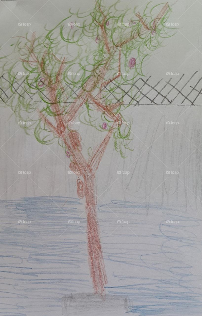 Tree background blue