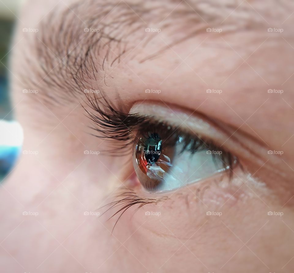 Beautiful brown eye with reflection