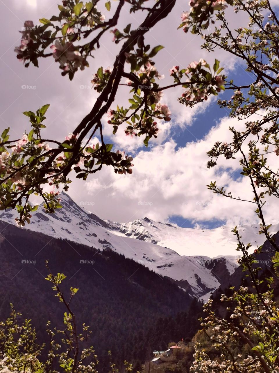 Floral design for mountains