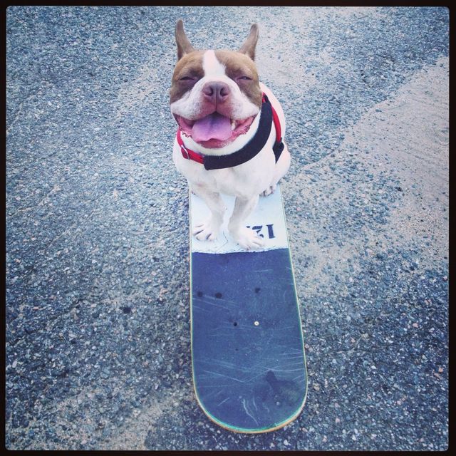 Summer Smile