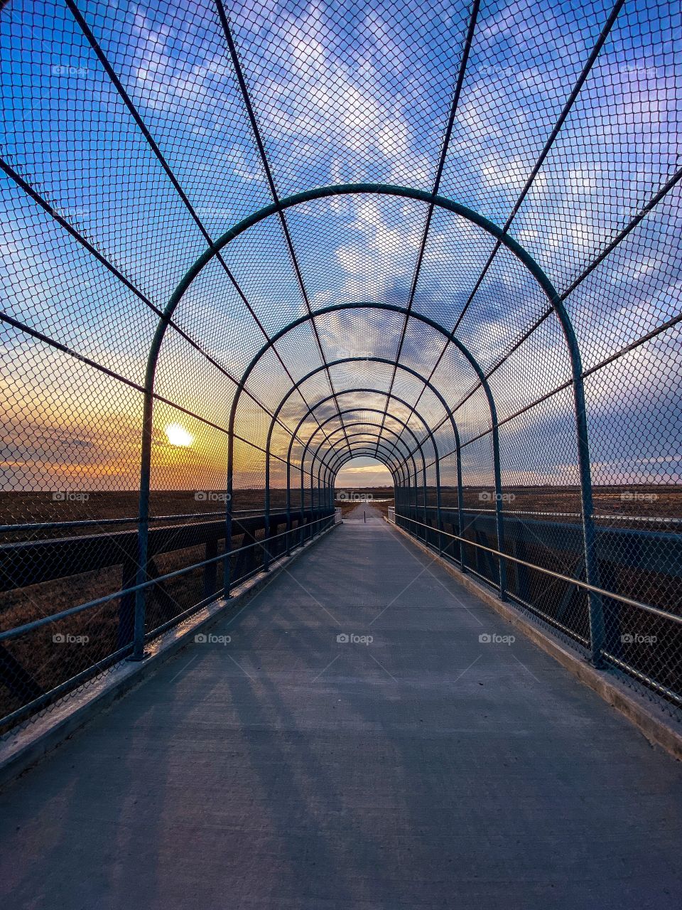 Walking across a foot bridge at sunset