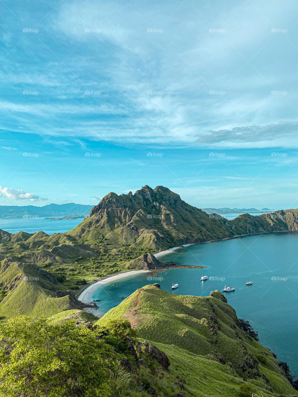 Komodo experience