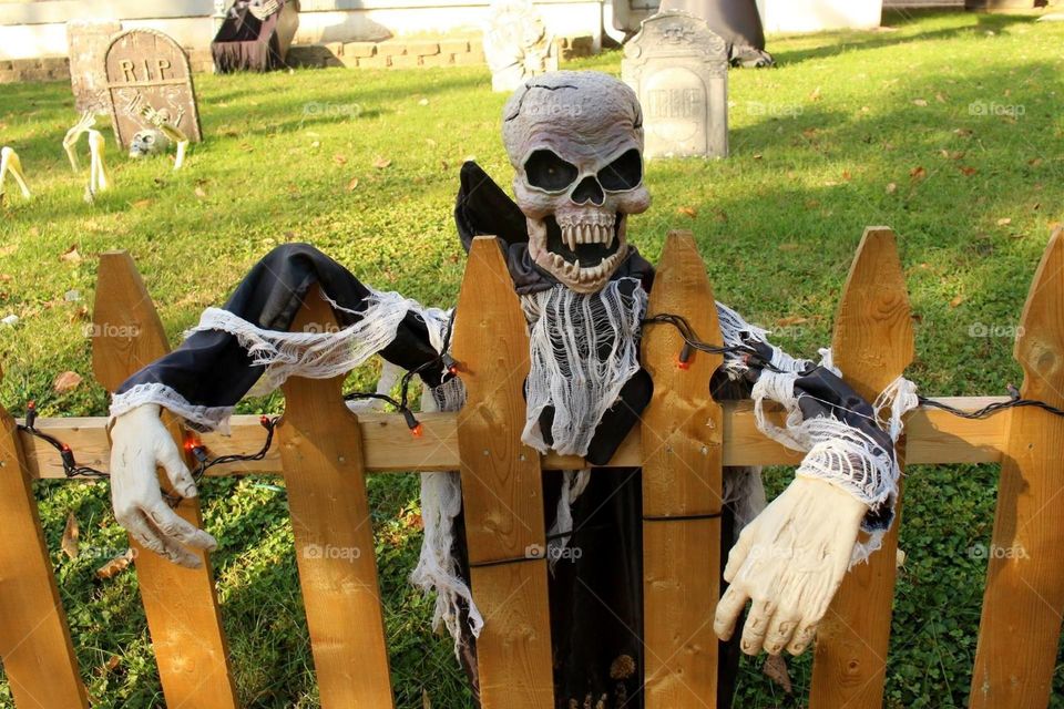 skeleton hanging on fence Halloween decorations