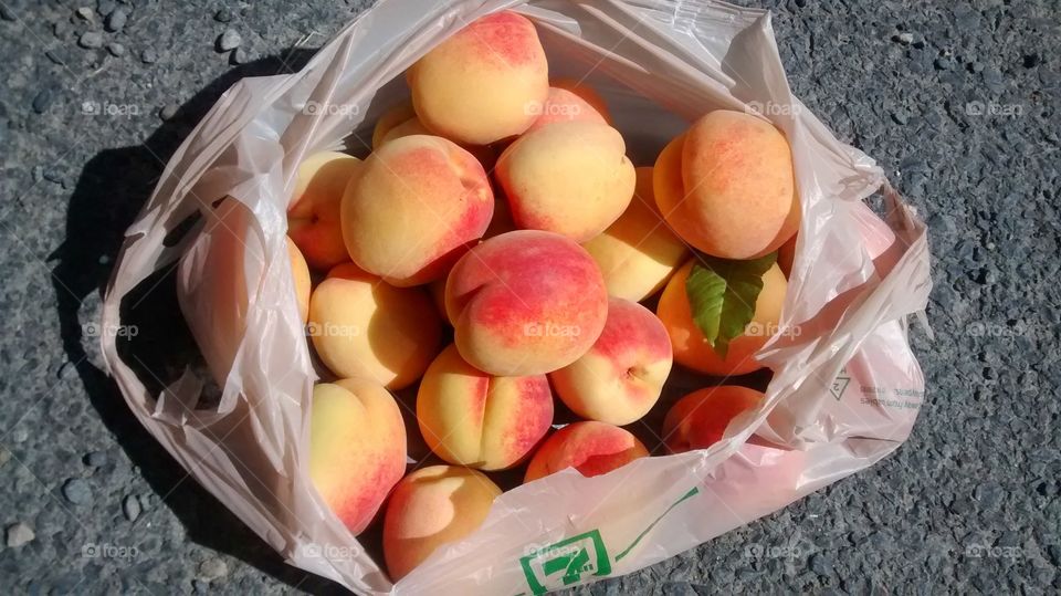 wild peaches