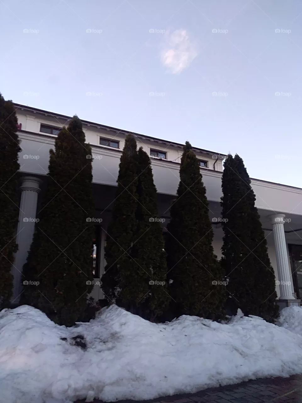 trees