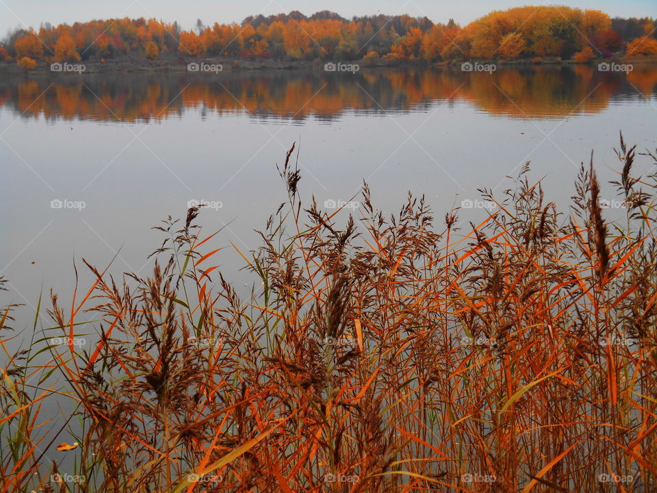 autumn lake