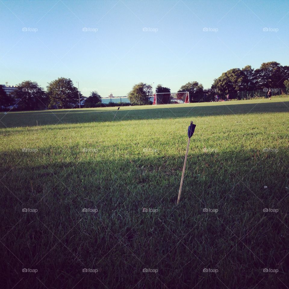 Arrows in the field 