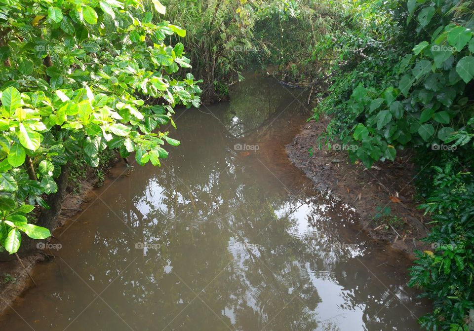 natural water source