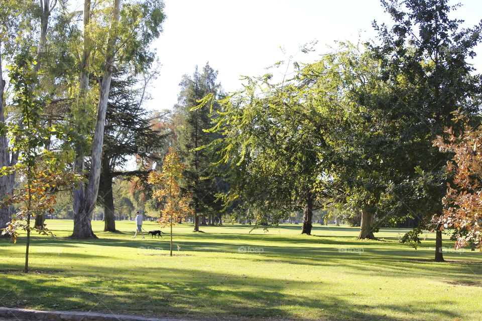 photo stories in my city