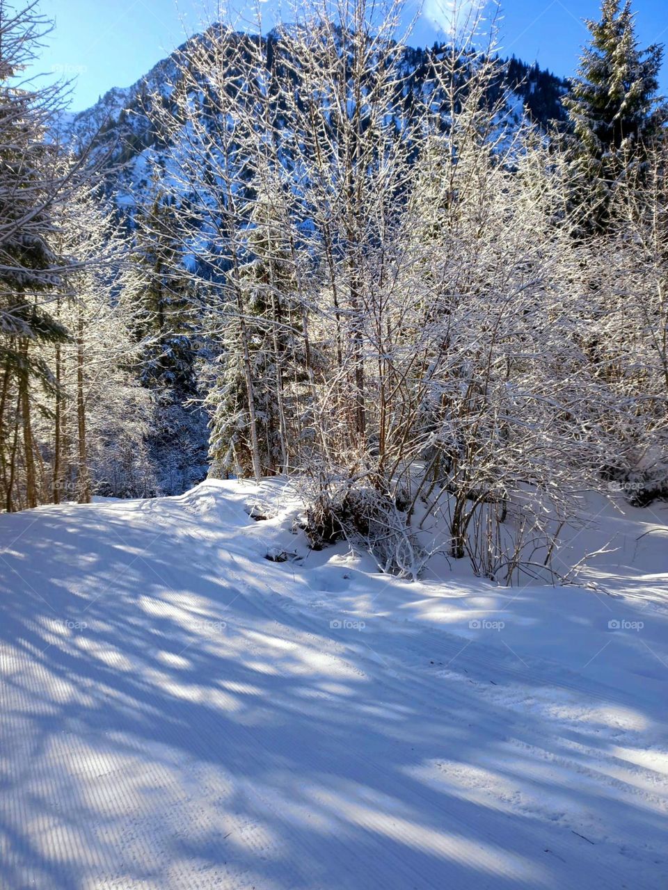 Morning Light in the Mountains