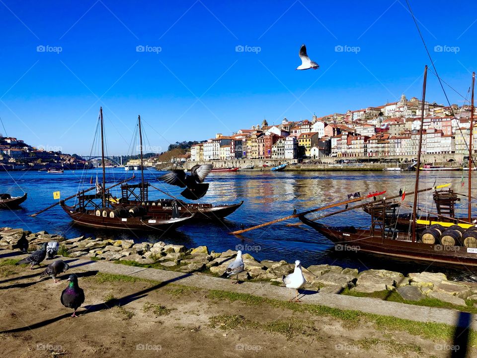 Porto