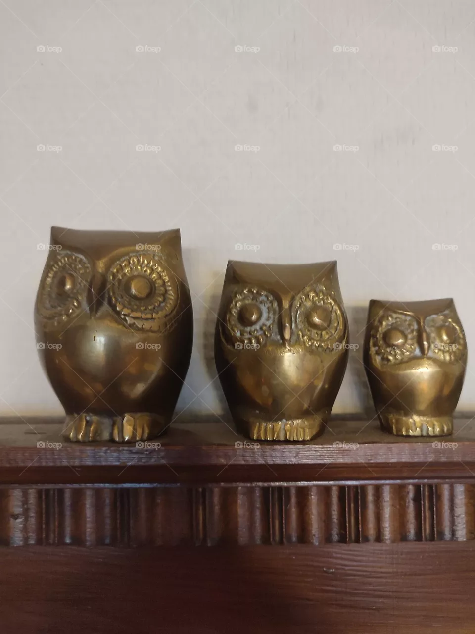 Owls