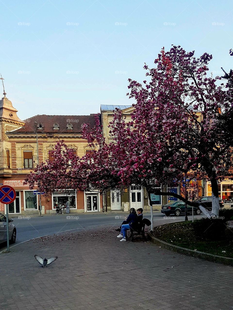 the city of Lugoj