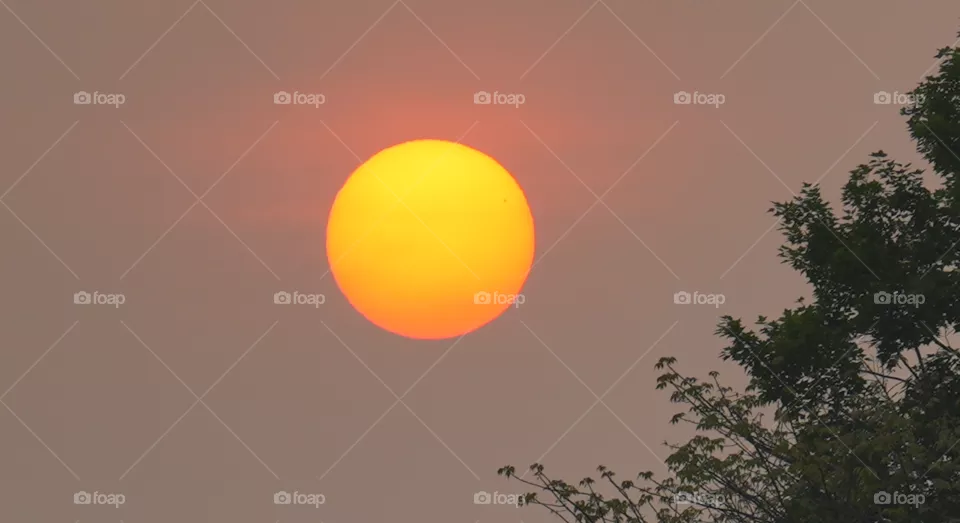 A Perfect Sunset 