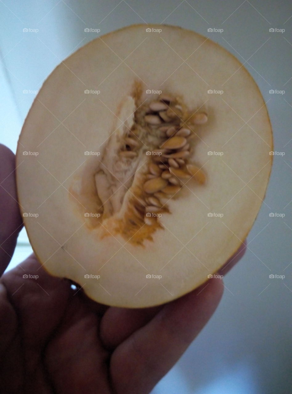 маленькая дыня